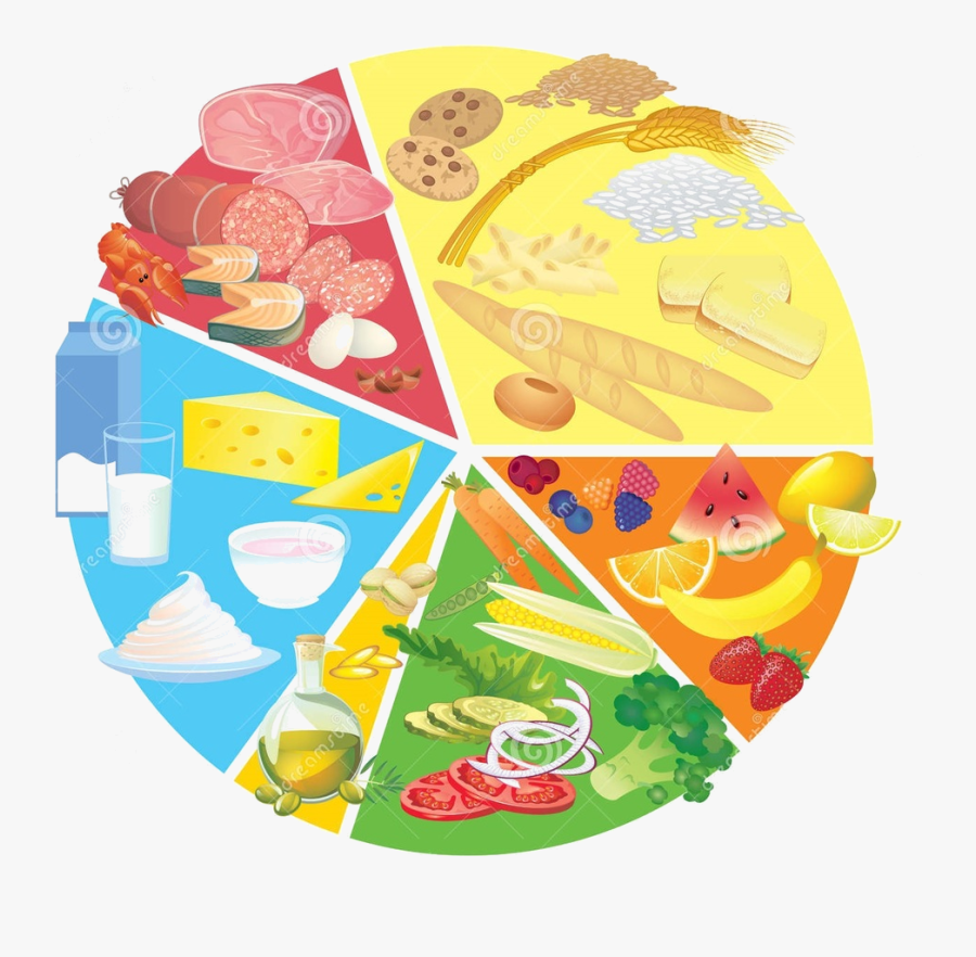 Healthy Eating Plate Clipart - Food And Nutrition Clipart, Transparent Clipart