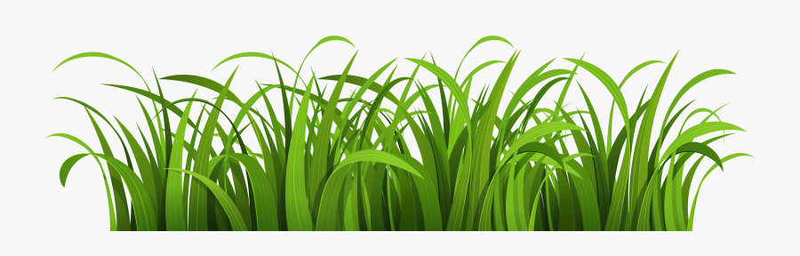 Nature Clipart Png Image - Cartoon Grass Transparent Background, Transparent Clipart