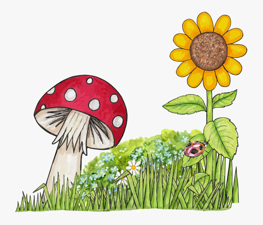 Nature - Clipart - ดอก เห็ด การ์ตูน Png, Transparent Clipart