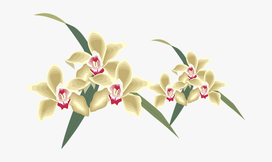 Flower, Nature, Clipart, Floral, Garden, Blossom, Plant - Yogiraj, Transparent Clipart