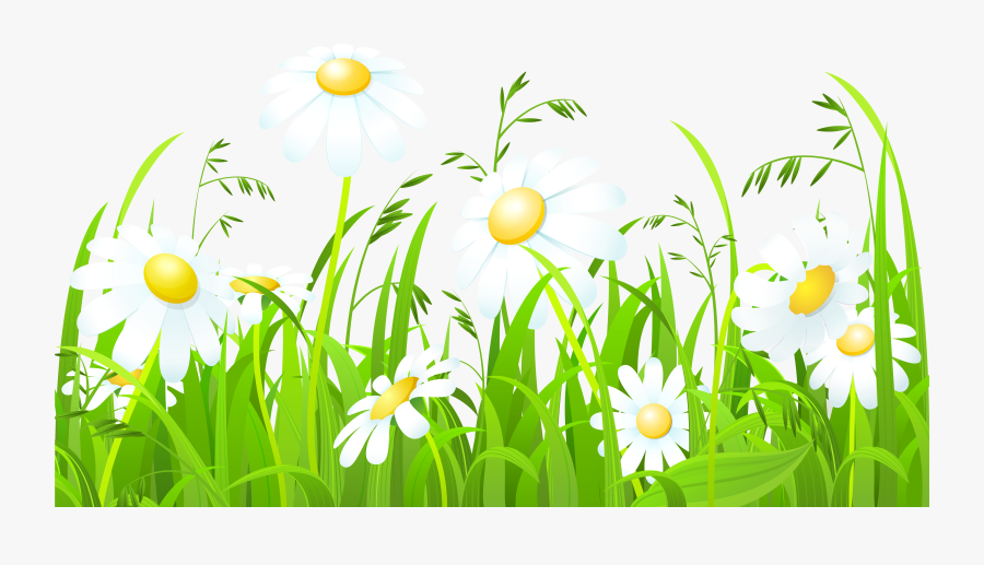White Flowers And Grass Transparent Png Clip Art Image - Grass Border Design Png, Transparent Clipart
