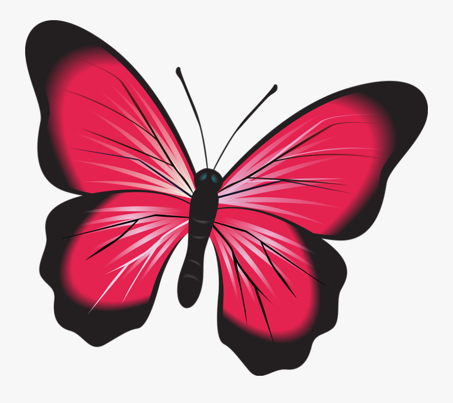 Butterfly, Pink, Clip Art, Insect, Nature, Natural, - Butterfly Fluturi, Transparent Clipart