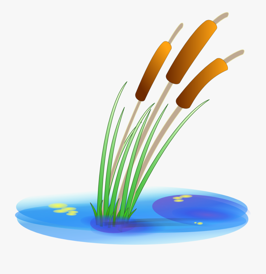 Nature Clipart - Reed Clipart, Transparent Clipart