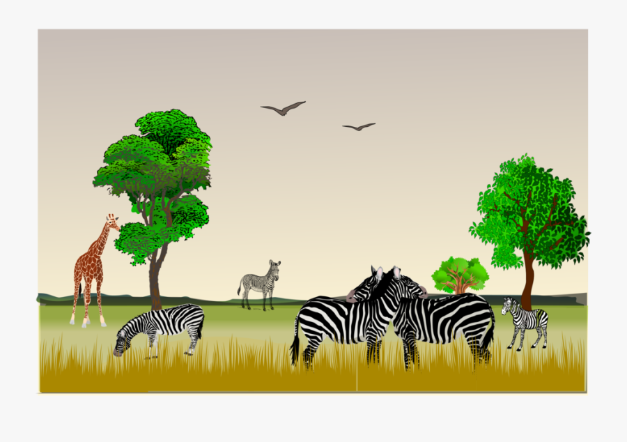 Giraffidae,wildlife,art - Ecosystems Savanna Clip Art, Transparent Clipart