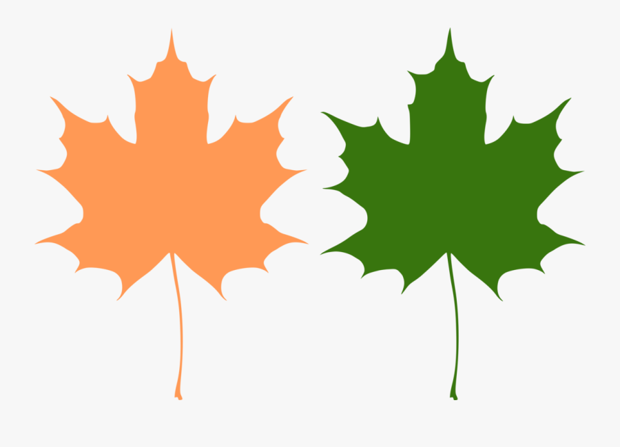 Maple Leaves - Maple Leaf Free Vector, Transparent Clipart