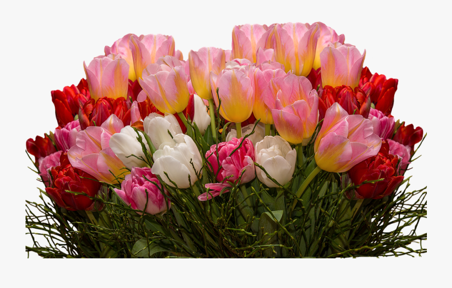 Nature Clipart, Transparent Clipart