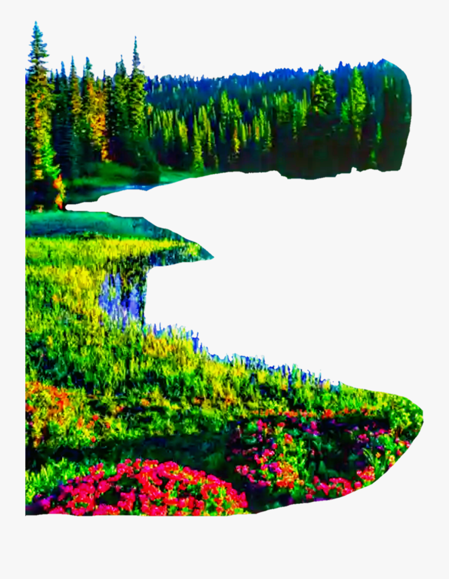 Transparent Forest Background Clipart - Nature Background Png Images Download, Transparent Clipart