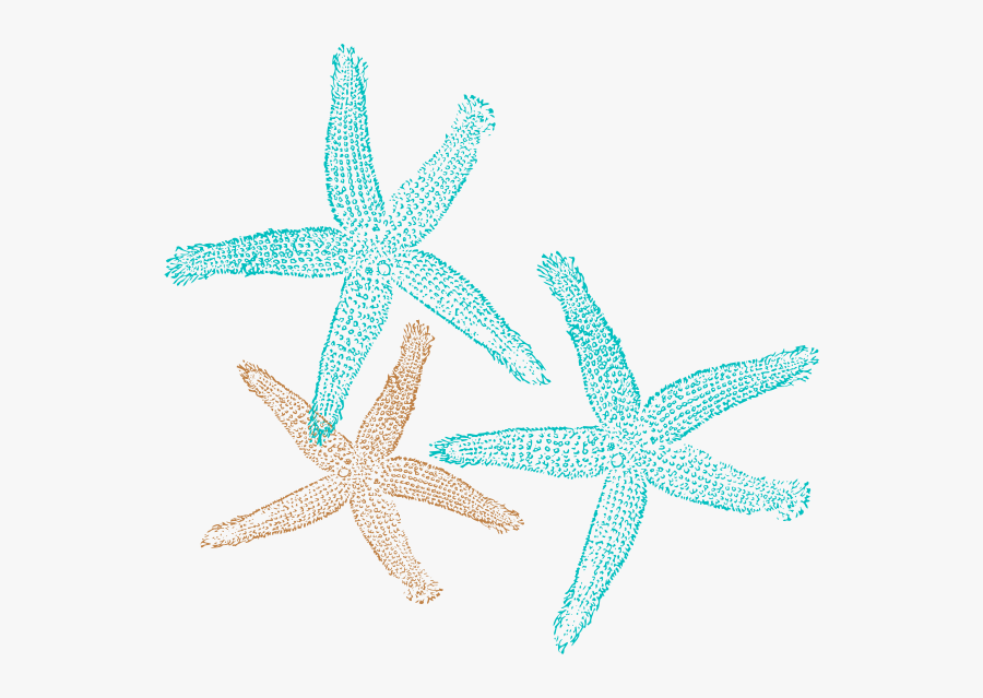 Turquoise Starfish Clip Art Nature Download Vector - Free Starfish Clipart, Transparent Clipart