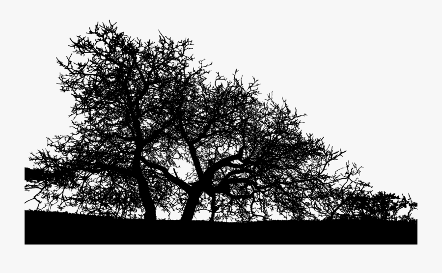Plant,twig,leaf - Trees Landscape Silhouette Png, Transparent Clipart