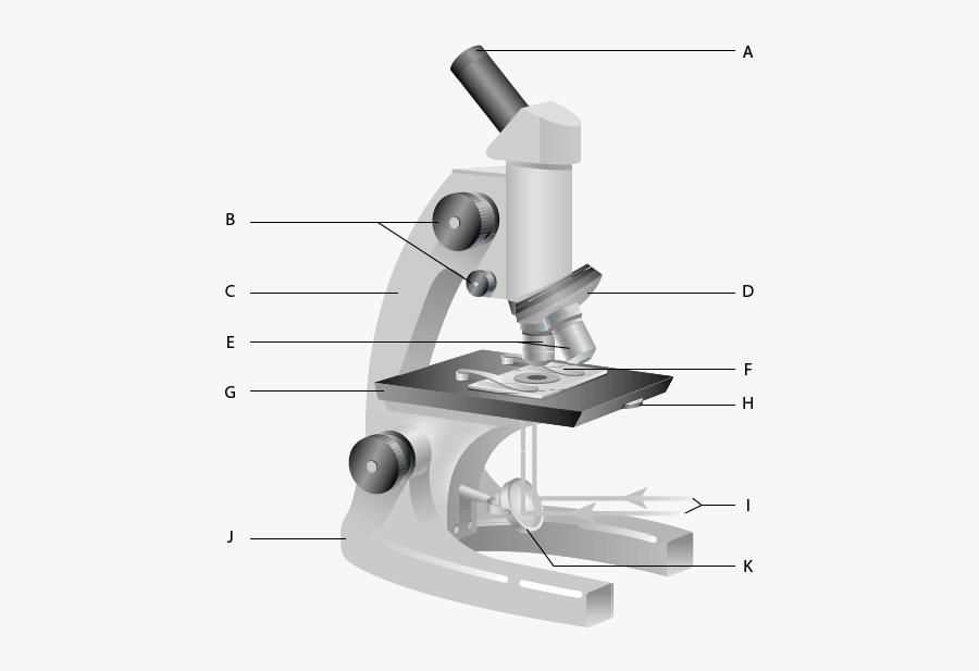 Clip Art Label The Parts Of The Microscope - Use A School Microscope, Transparent Clipart