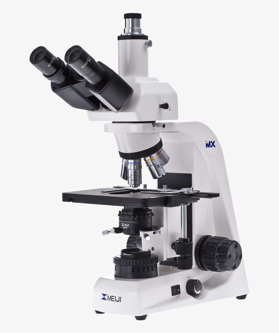 Large Binocular Microscope - Biological Microscope, Transparent Clipart