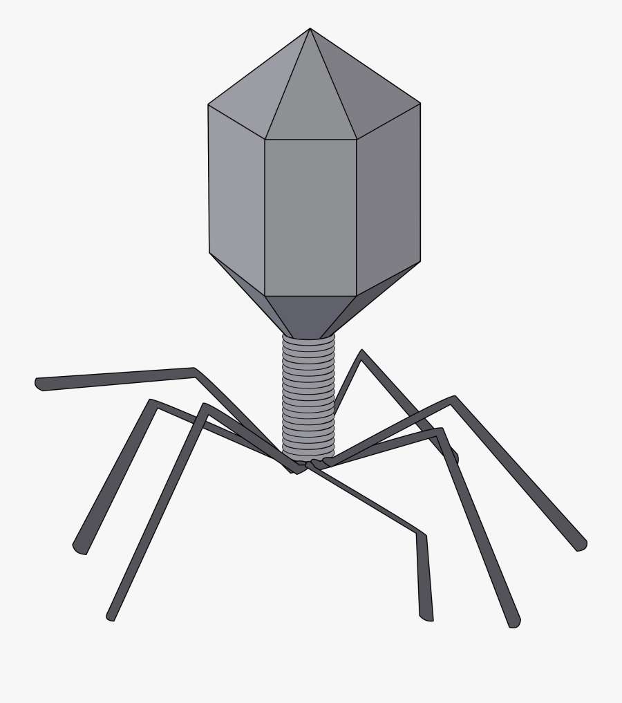 Clipart - Virus Black And White, Transparent Clipart