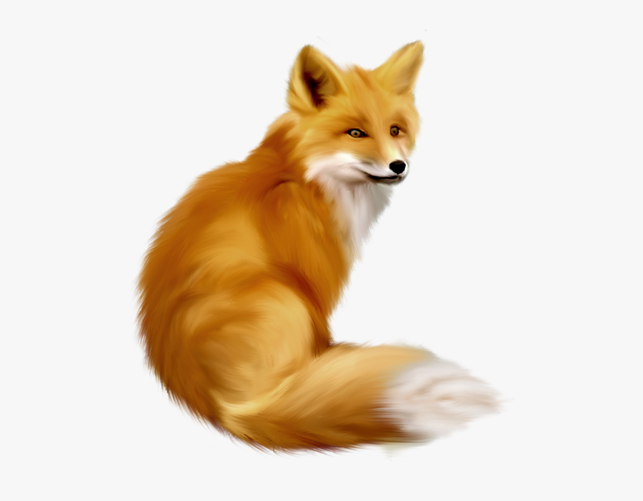 Ezo Red Fox Clipart Graphics Free Clip Art Image - Fox Clipart Realistic, Transparent Clipart