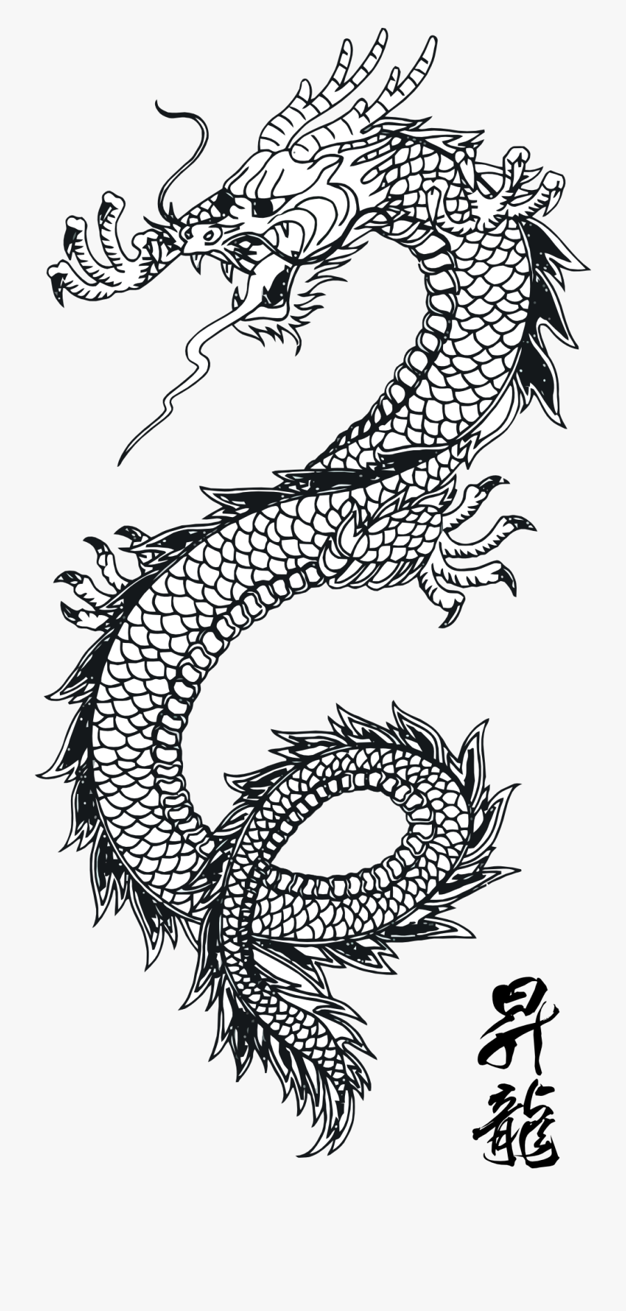 Download Dragon Tattoos Png Clipart, Transparent Clipart