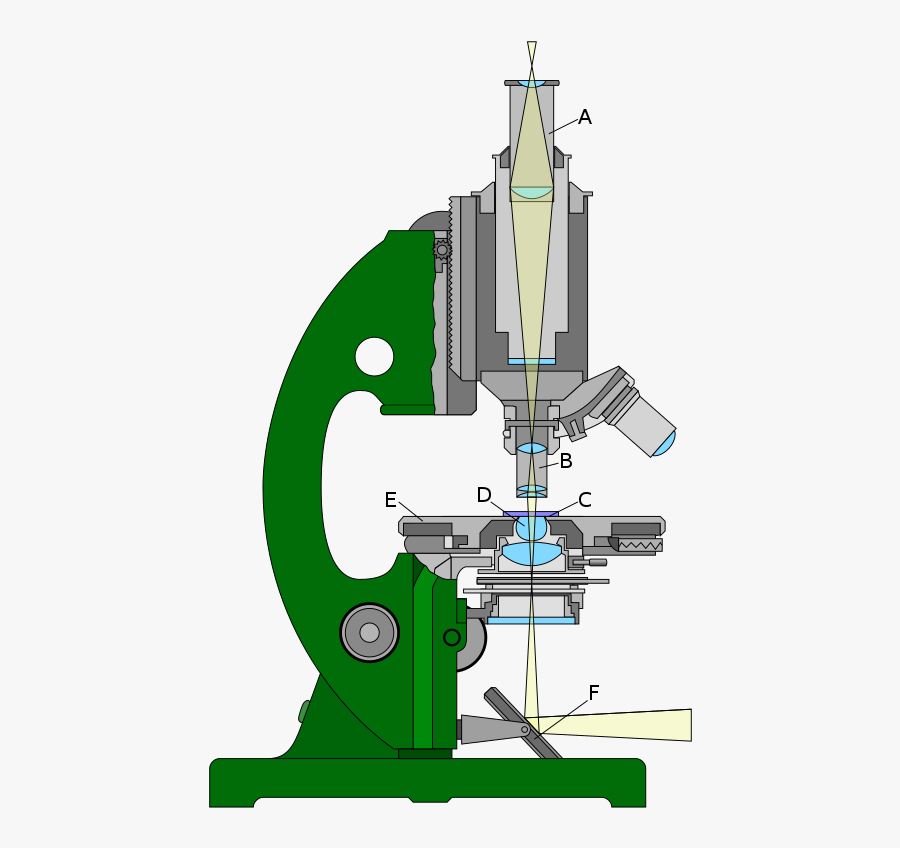 Optical Microscope - - Light Refraction In Microscope, Transparent Clipart