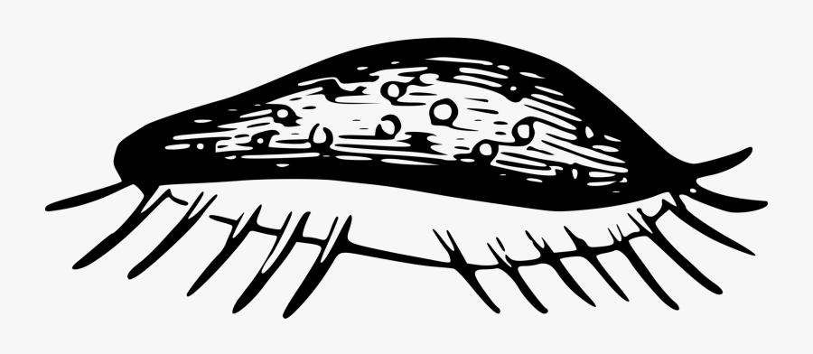 Transparent Microscope Clipart Black And White - Gusano Blanco Y Negro Png, Transparent Clipart