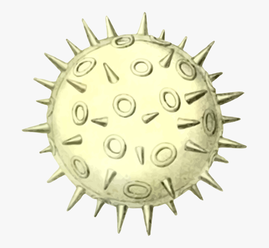 Circle,organism,pollen - Pollen Microscope Clipart, Transparent Clipart