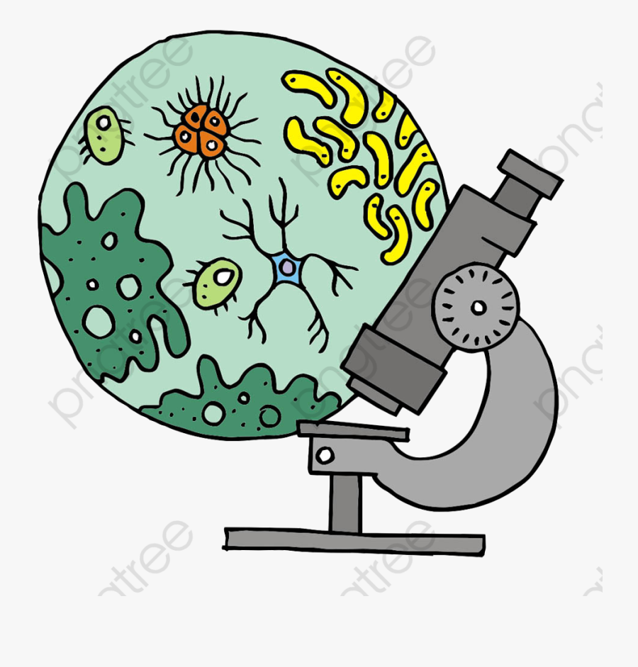 Microscope Clipart Biomedical Science - Microscope Biology Clipart, Transparent Clipart