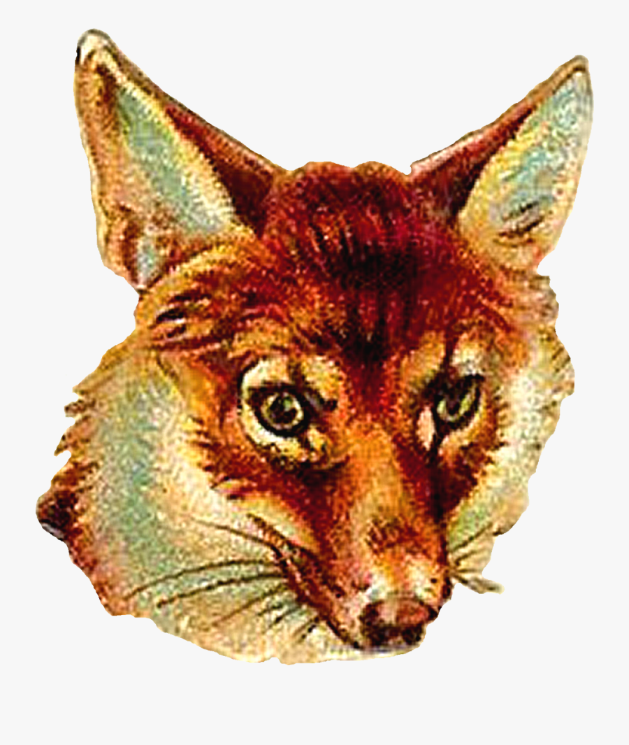 Fox Png Vintage, Transparent Clipart