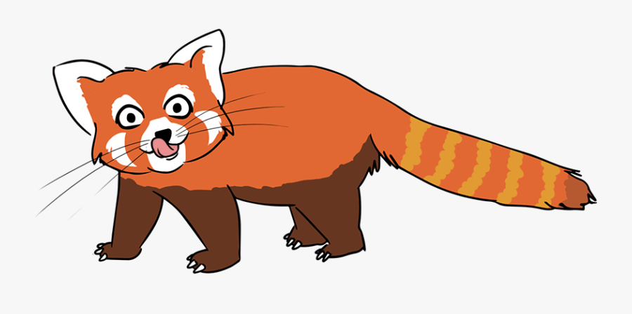 Panda Clipart Fox - Free Clip Art Red Panda, Transparent Clipart