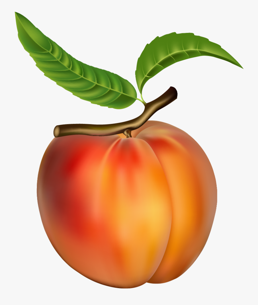 Peach Png Clipart - Peach Fruit, Transparent Clipart