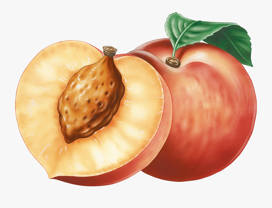Transparent Background Peach Clip Art, Transparent Clipart