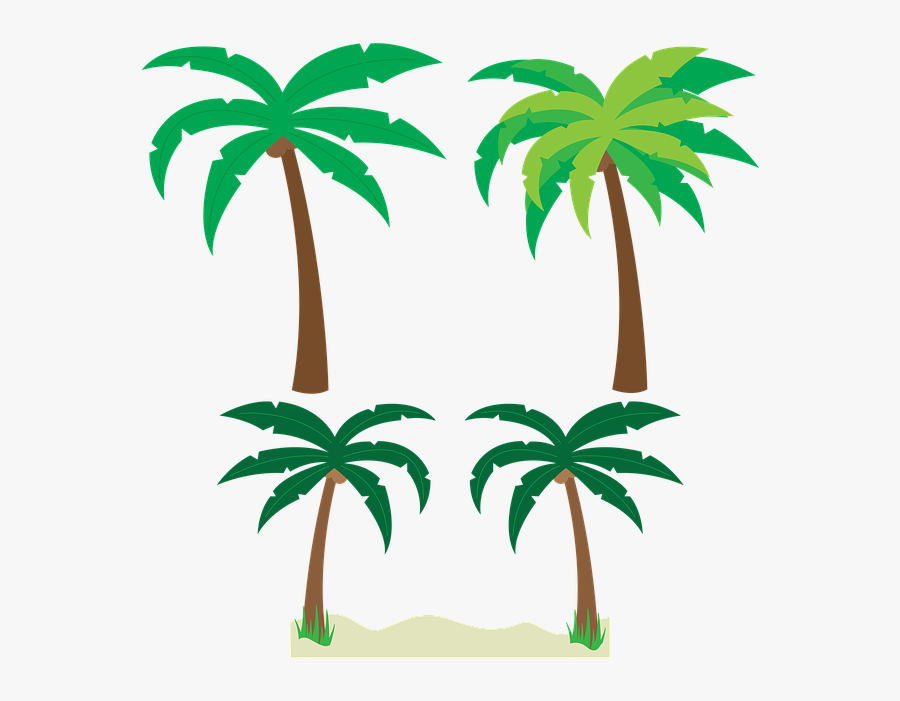 Palm Tree Vector Png , Transparent Cartoons - Tropical Palm Trees Clipart, Transparent Clipart