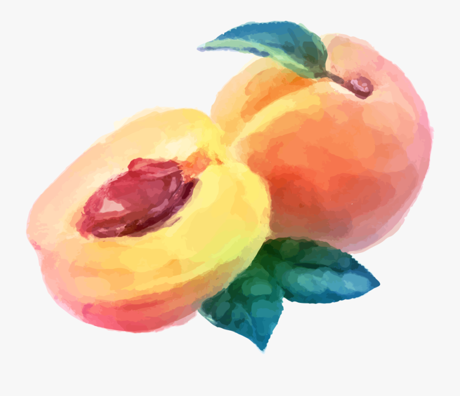Watercolor Peaches Png, Transparent Clipart