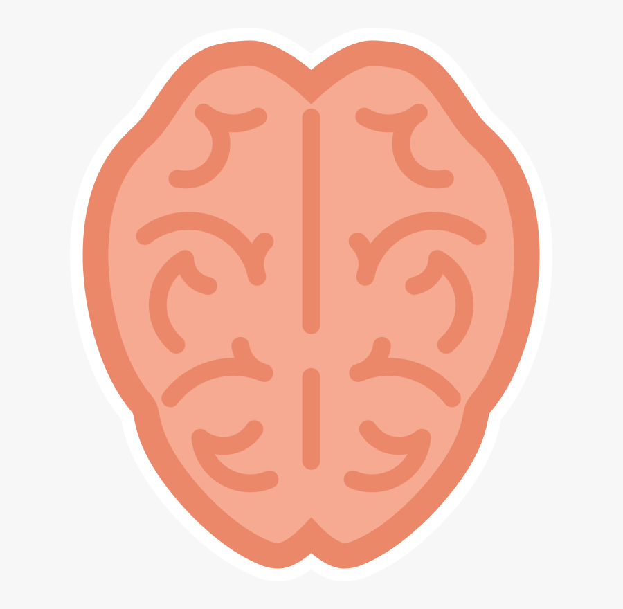 Stomach,organ,peach, Transparent Clipart