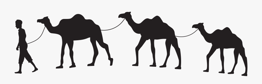 Camel Caravan Silhouette Png - Camel Caravan Clipart ...