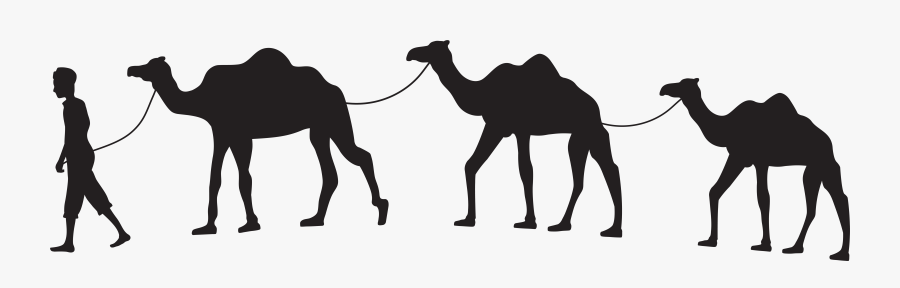 Camel Caravan Silhouette Png - Camel Caravan Clipart, Transparent Clipart