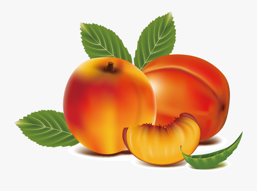 Transparent Apricot Png Peach Fruit Clip Art , Free Transparent