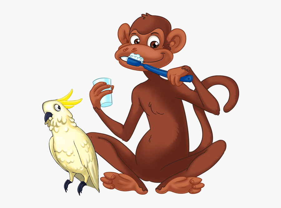 Teeth Clipart Monkey - Sulphur-crested Cockatoo, Transparent Clipart