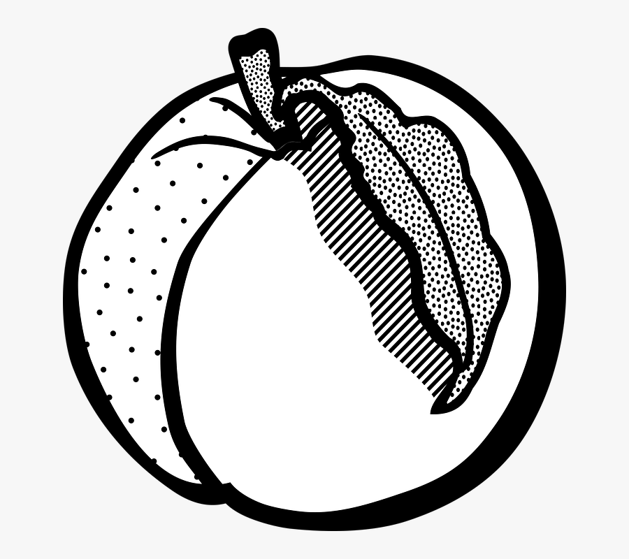 Line Art, Transparent Clipart