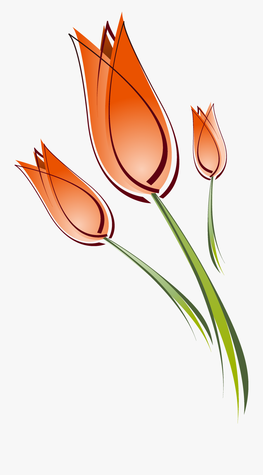 Peach Clipart Stem - Tulip Drawing Transparent, Transparent Clipart