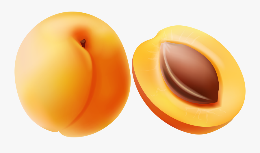 Transparent Clip Art Image - Apricot Clipart, Transparent Clipart