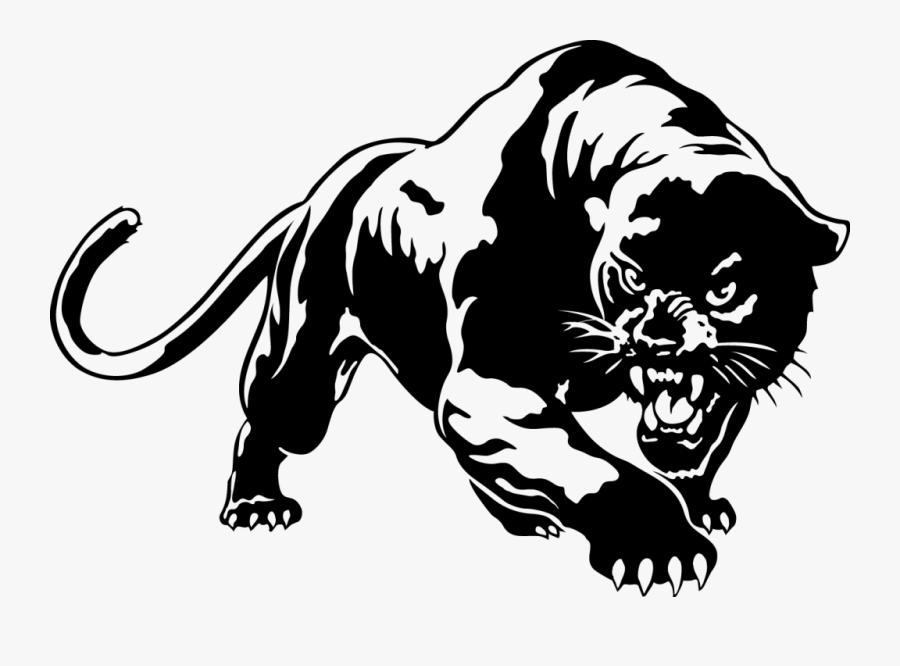 28 Collection Of Panther Clipart Transparent - Black Panther Animal Drawing, Transparent Clipart