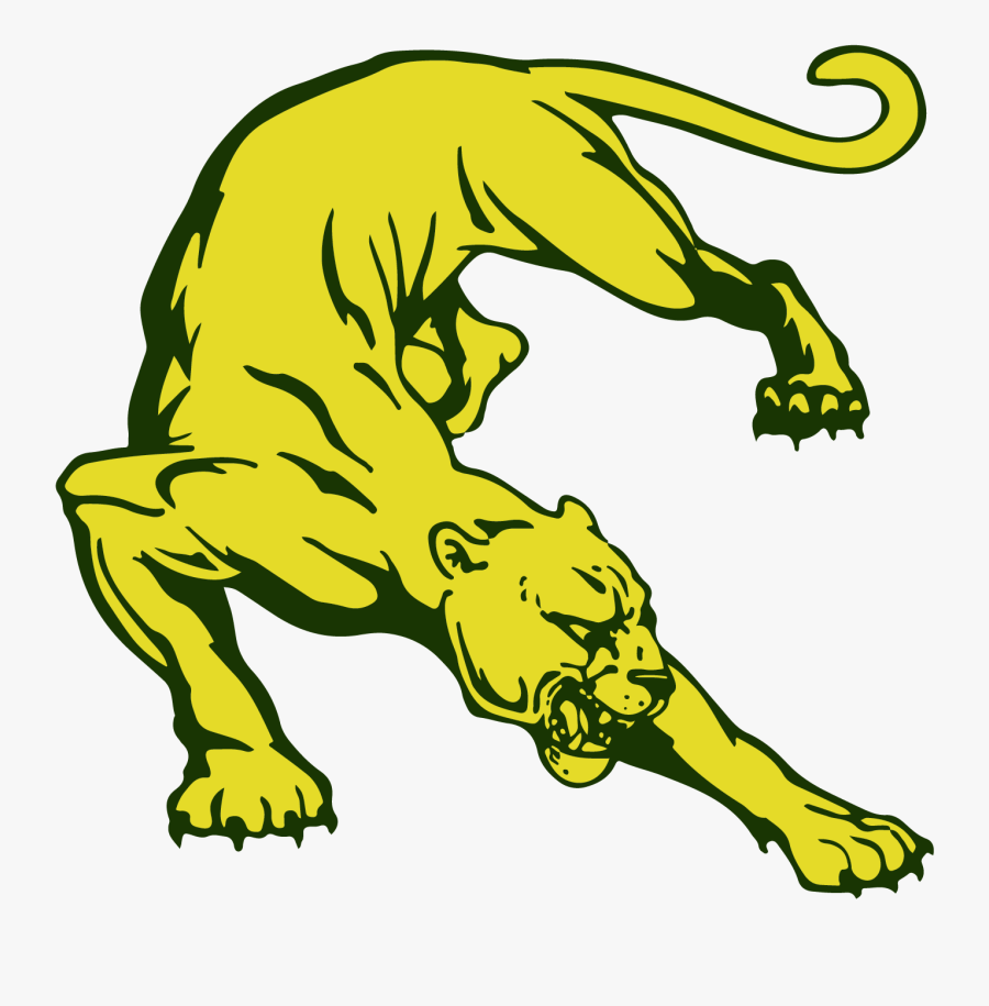 Canadian Public School Home Of The Cougars - Drawing Panther, Transparent Clipart