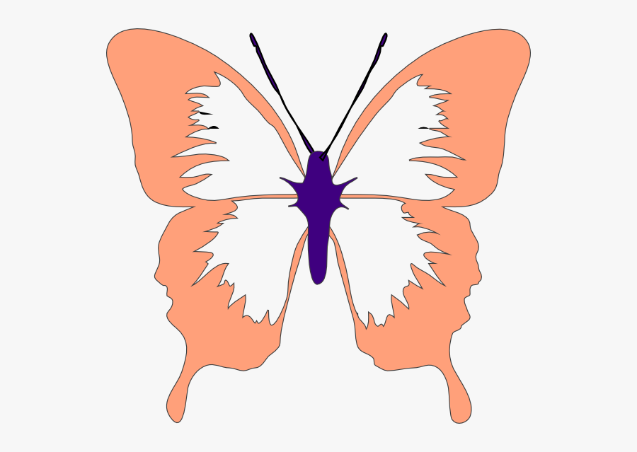 Black And White Butterfly Outline, Transparent Clipart