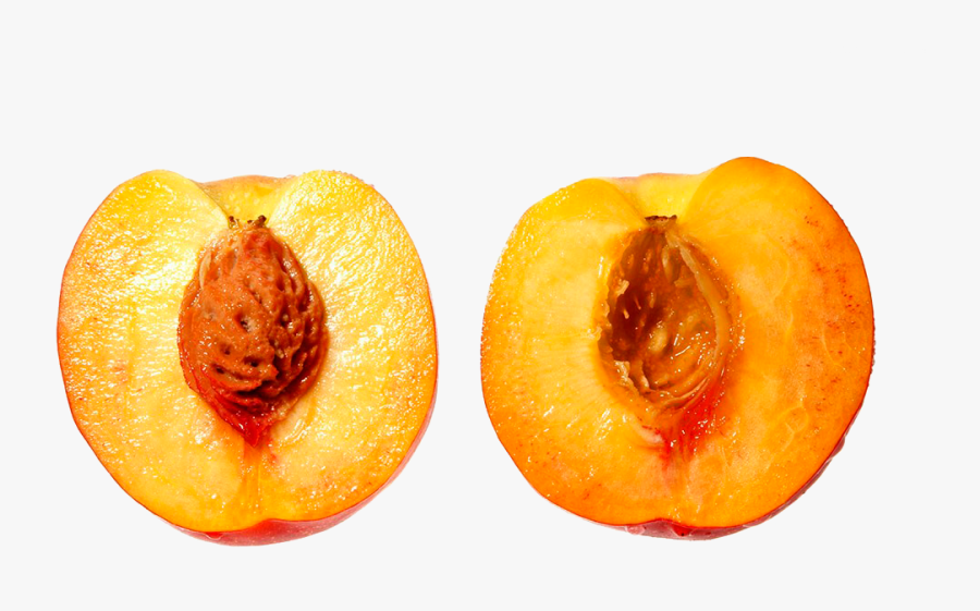 Nectarine Coreldraw Download Transprent - Peach, Transparent Clipart
