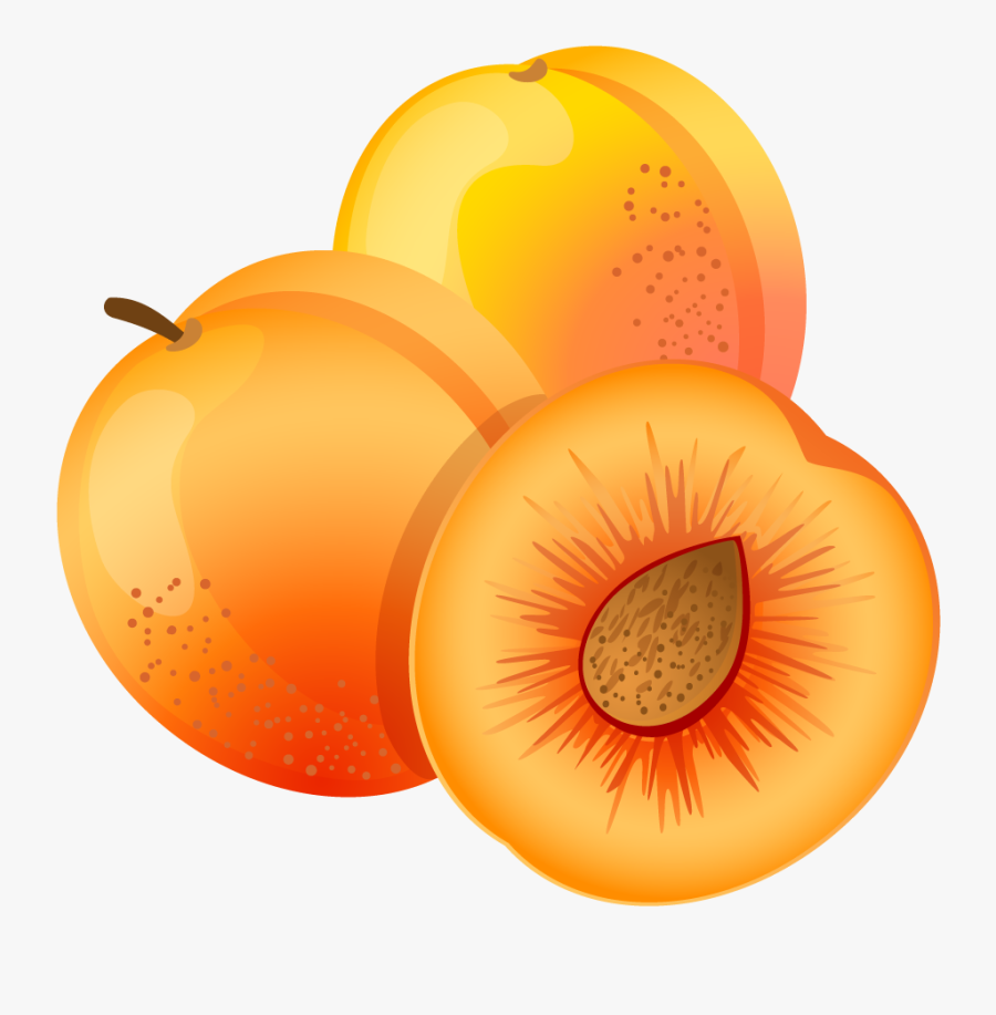 Apricot Clipart Png, Transparent Clipart
