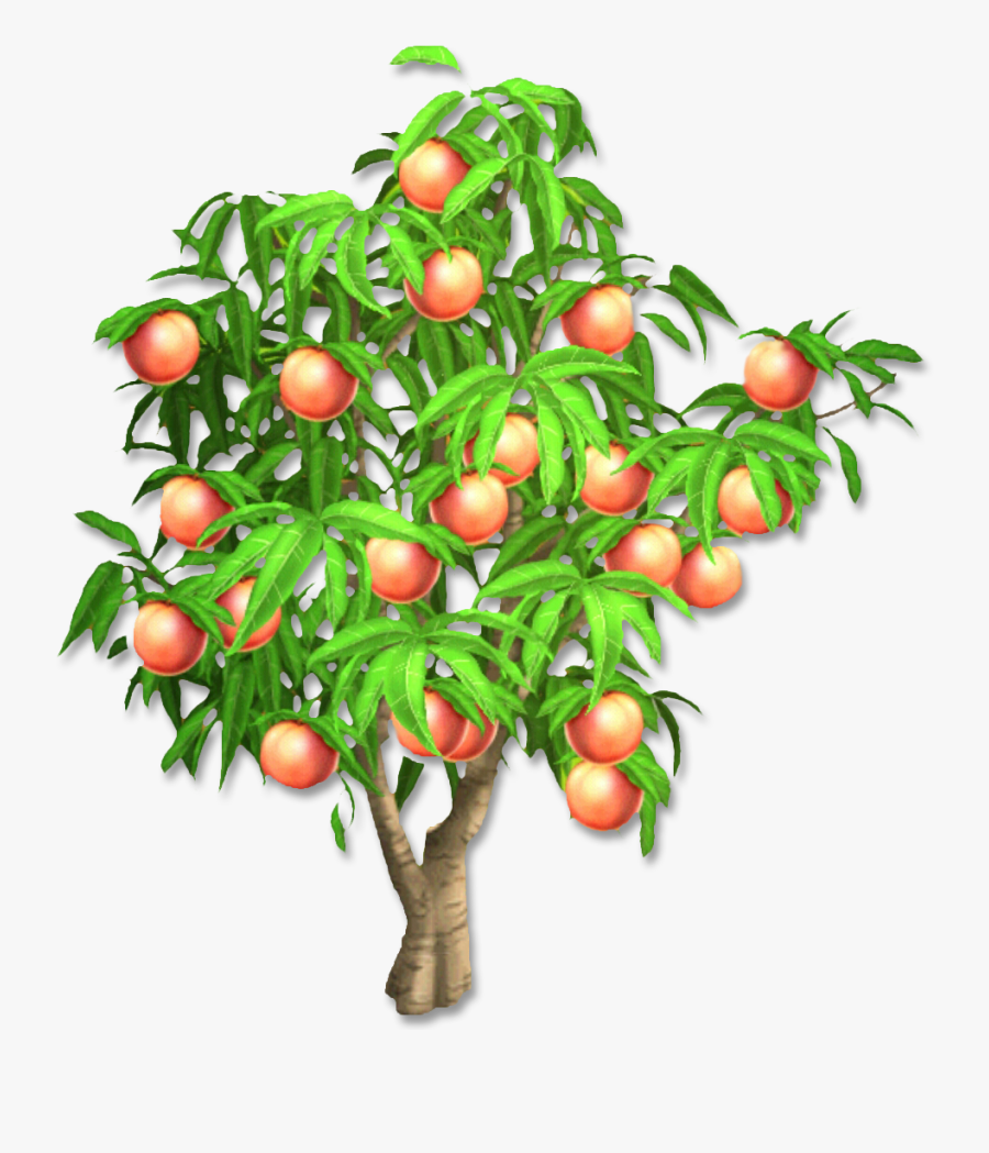 Png Peach Tree Transparent Peach Tree Images - Peach Tree Clipart Png, Transparent Clipart
