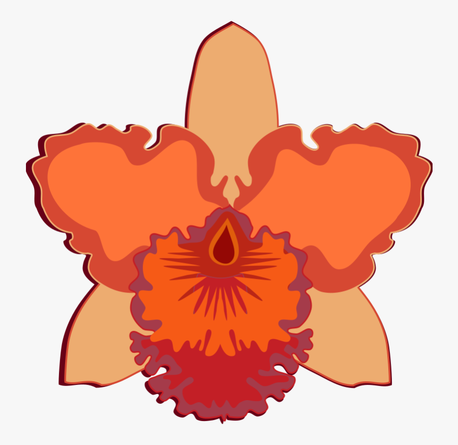 Plant,flower,peach - Cattleya Flower Design, Transparent Clipart