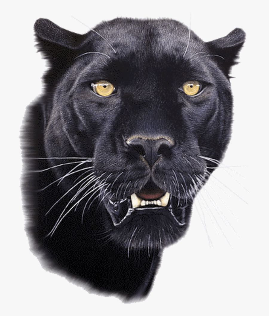 Clip Art - Black Panther Snarl Gif, Transparent Clipart