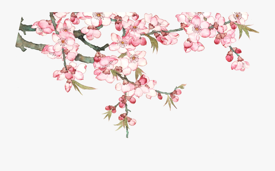 Watercolor Blossom Tree Pixel Peach Png Download Free - Peach Blossom Transparent Background, Transparent Clipart