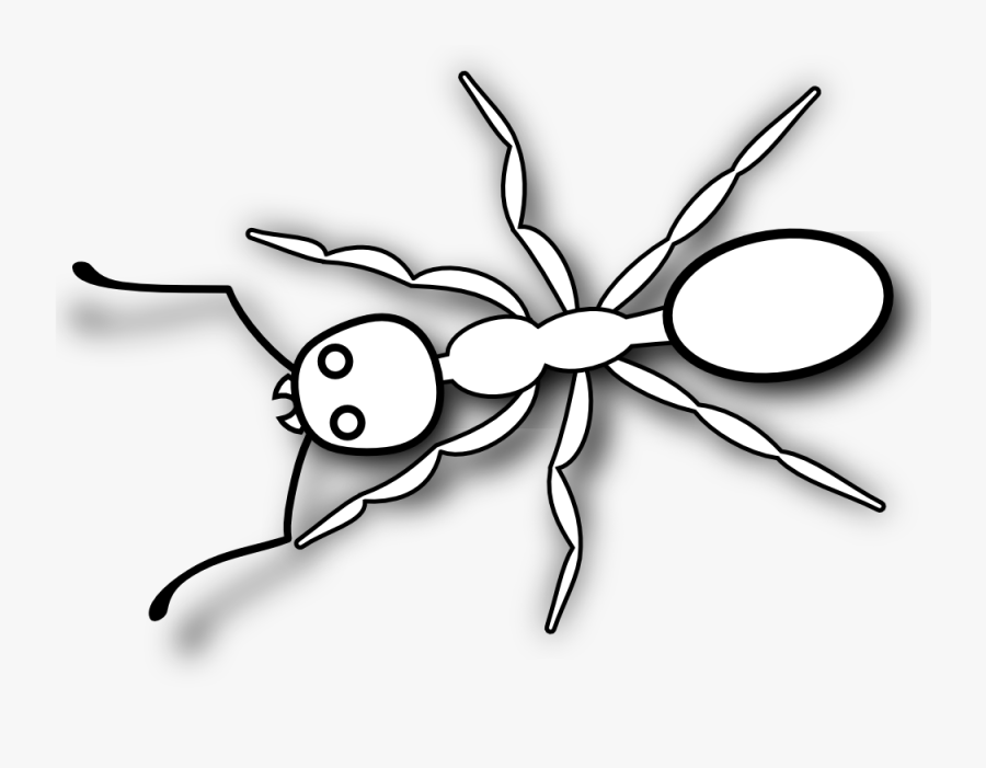 Peach - Clipart - Black - And - White - Ants Clipart Black And White Clipart, Transparent Clipart