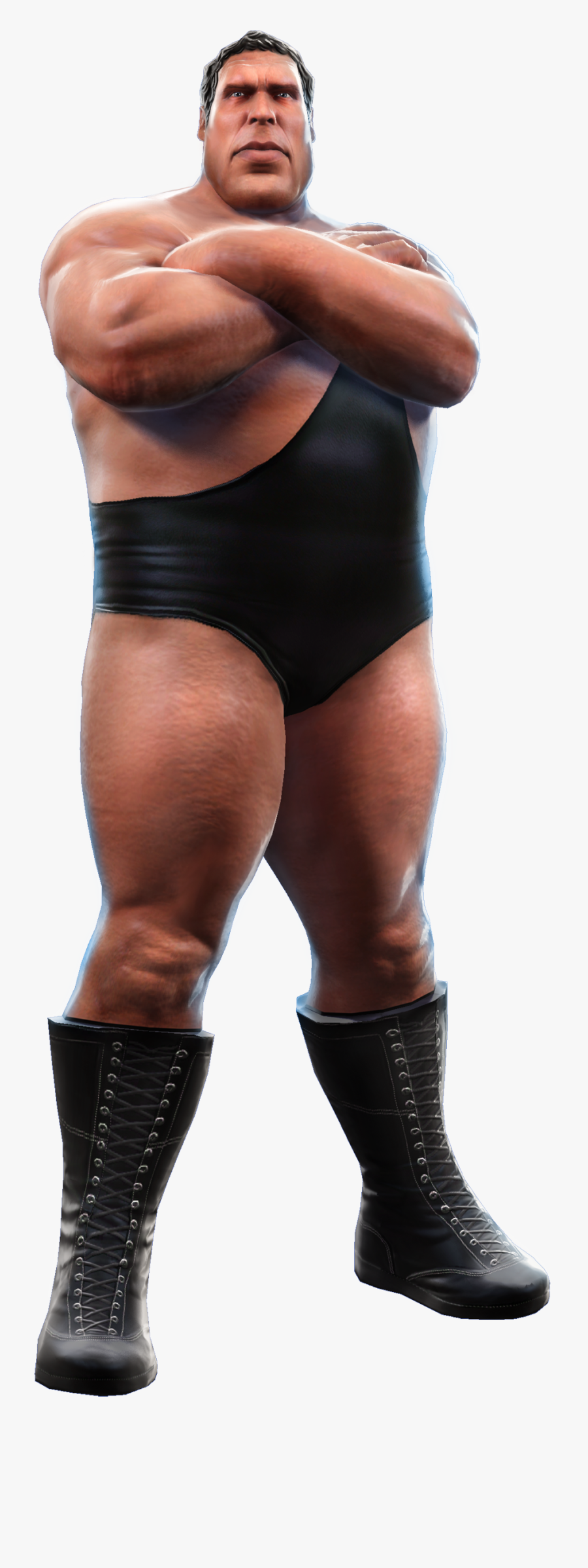 Download Free Png Image - Game Andre The Giant, Transparent Clipart