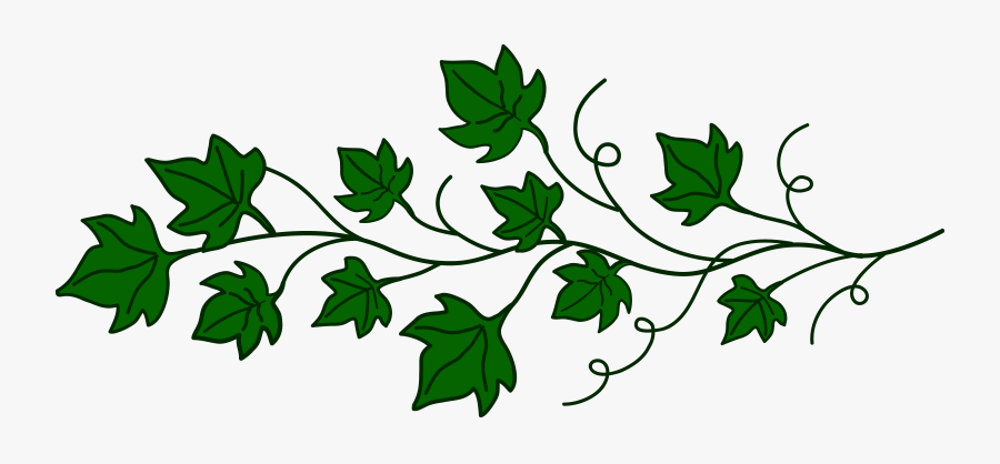 Transparent Fresh Clipart - Clip Art Vines, Transparent Clipart