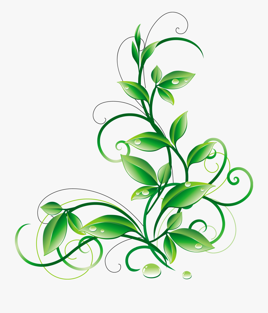 Vine Clipart Boho - Green Color Flower Design, Transparent Clipart
