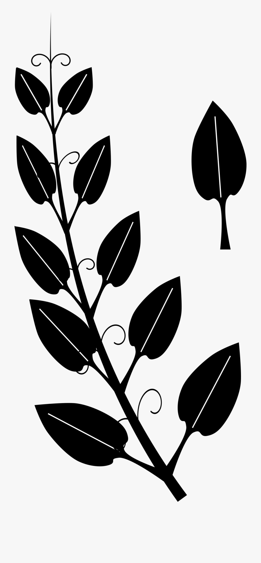 Stylized Vine By Algotruneman Clip Art - Vine Clipart Black And White, Transparent Clipart
